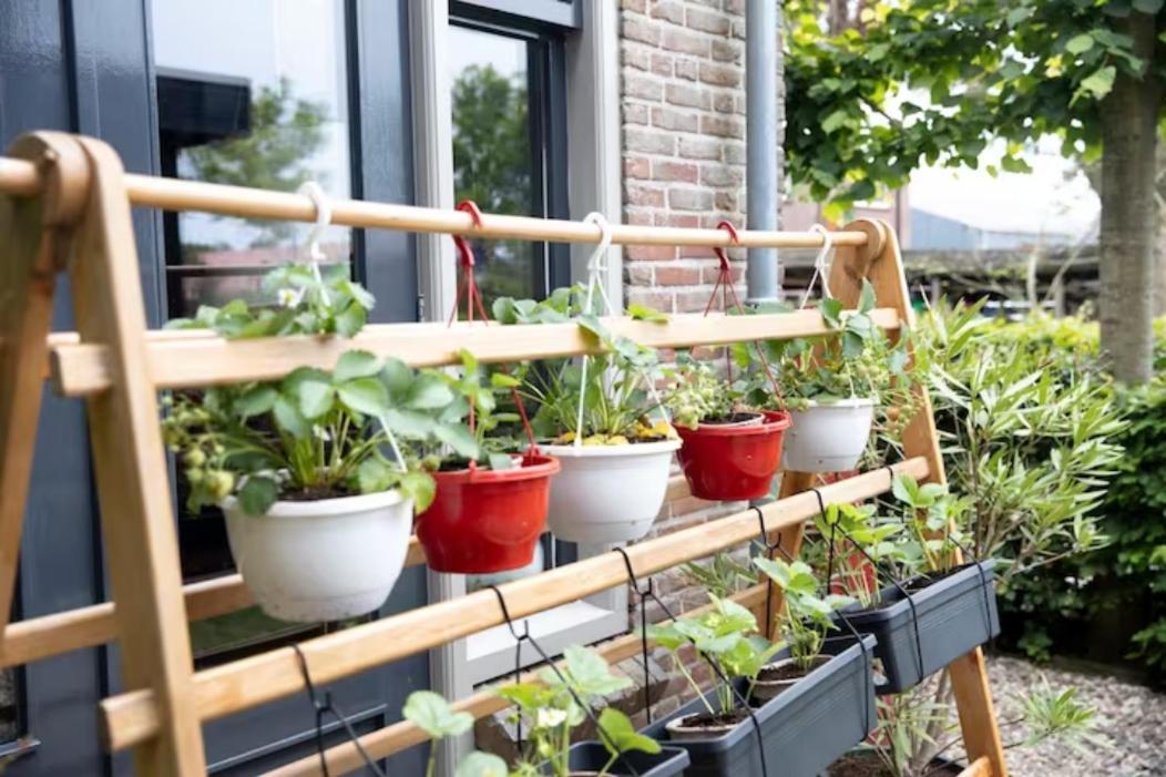B&B Klassiek Twijzelerheide エクステリア 写真